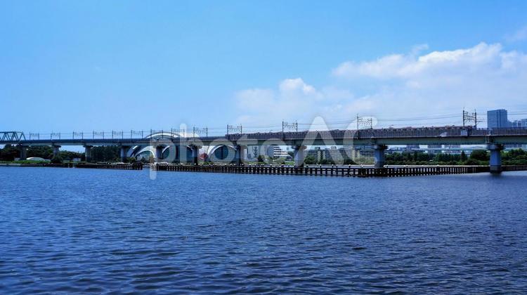 夢の島公園からの眺め・京葉線高架・江東区 夏,夢の島公園,江東区の写真素材