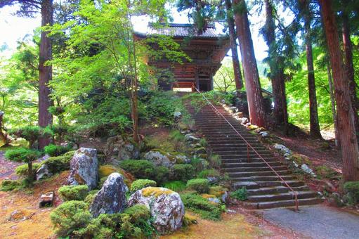 福井県-明通寺-山門 福井県-明通寺-山門の写真