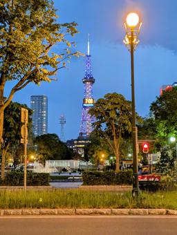夜のさっぽろテレビ塔 夜のさっぽろテレビ塔 北海道,北海道旅行,さっぽろテレビ塔の写真素材