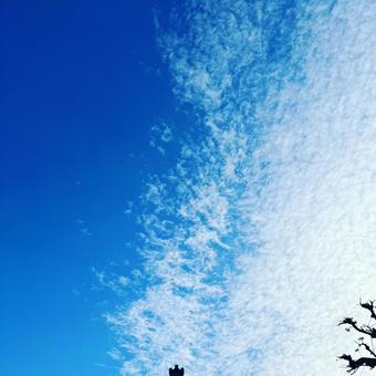 空 空の写真