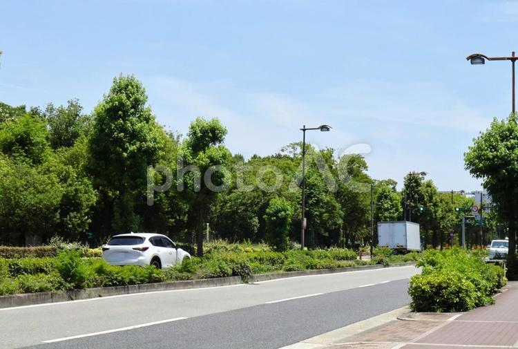 休日朝の道路のある風景（大阪市東住吉） 道路,晴れ,休日の写真素材