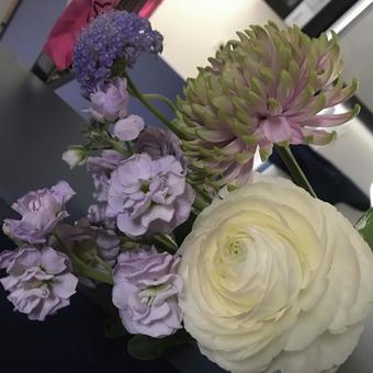 花 花の写真