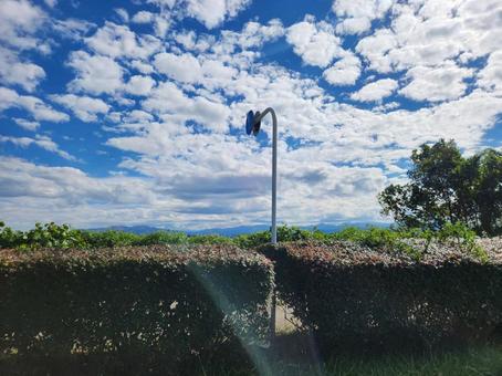雲の隙間から見える青空と光 青空,ハロ,光の写真素材
