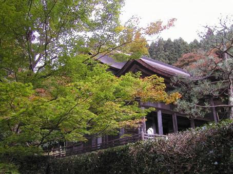 京都　大原 京都市,左京区,秋の写真素材
