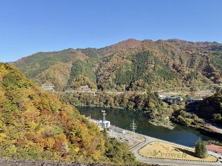 秋の福井県の九頭竜ダム　紅葉に色づく湖 秋,道路,晩秋の写真素材