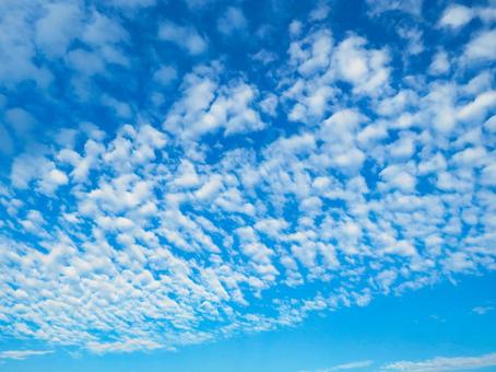 青空とうろこ雲 青空とうろこ雲の写真