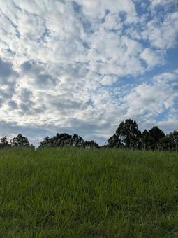 Photo, natural, the scenery, sky, 
