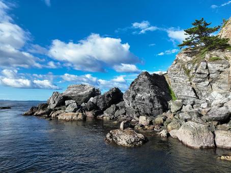 Photo, rhinophyma, cape, peninsula, 
