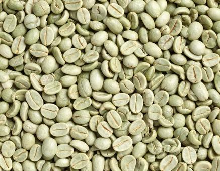 焙煎前のコーヒー豆の写真