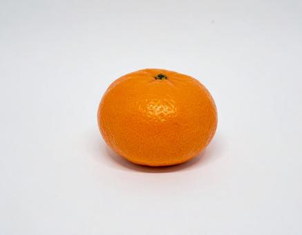 みかん 3 みかん 3の写真