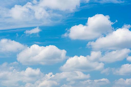 空の雲 空の雲の写真