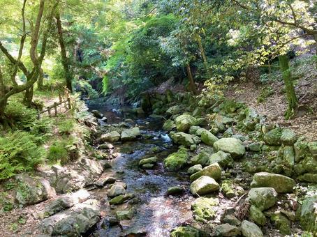 小川 小川の写真