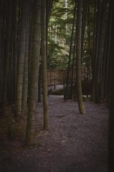 圓光寺の日本庭園の写真