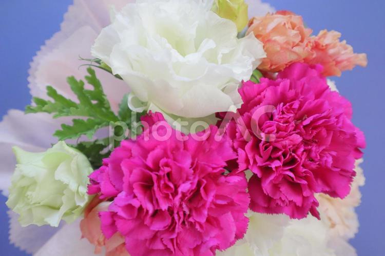 フラワーアレンジ　カーネーション他 母の日,カーネーション,花束の写真素材