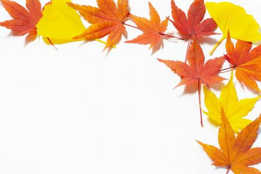 紅葉 背景 紅葉 背景 紅葉,もみじ,秋の写真素材