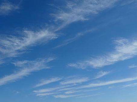 秋の青空の写真