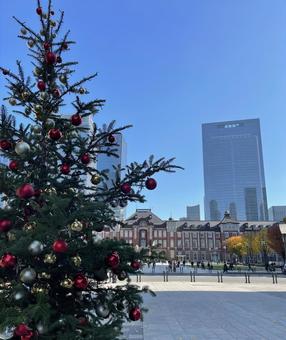 東京駅前のクリスマスツリー 東京駅,クリスマスツリー,クリスマスの写真素材