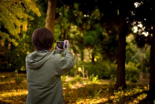 ＜素材＞夕暮れの森で木漏れ日を撮る女性 女性,サンセット,夕方の写真素材