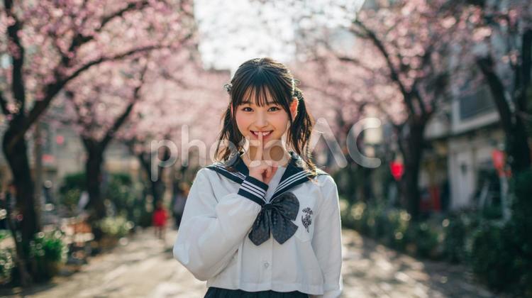 内緒の笑顔と桜道 女性,桜,制服の写真素材