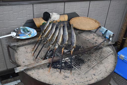 塩焼き 塩焼きの写真