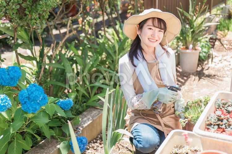 家の庭でガーデニングする女性（霧吹き） ガーデニング,園芸,家庭菜園の写真素材