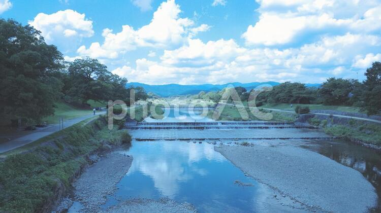 鴨川 鴨川,京都,川の写真素材