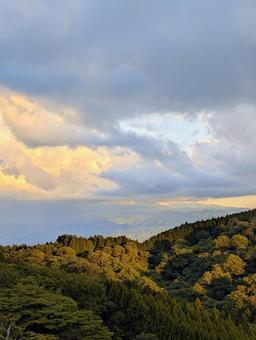 Photo, mountain, coniferous trees, landscape, 