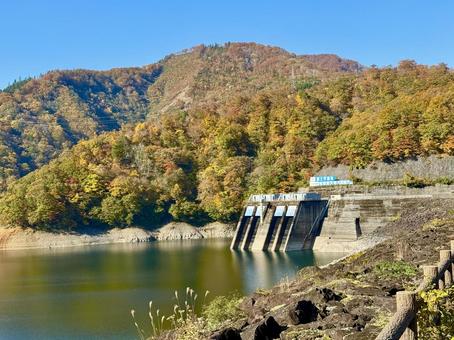 秋の福井県の九頭竜ダム　紅葉に色づく湖 秋,道路,晩秋の写真素材