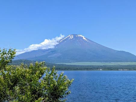 新緑と快晴の山中湖 新緑と快晴の山中湖 富士山,世界遺産,自然の写真素材