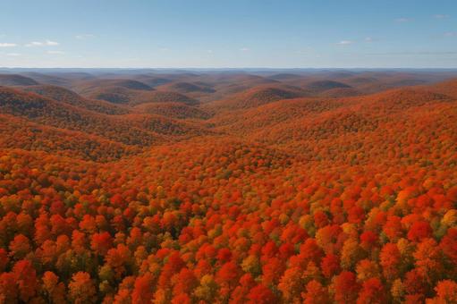 紅葉の山並み 紅葉の山並みの写真