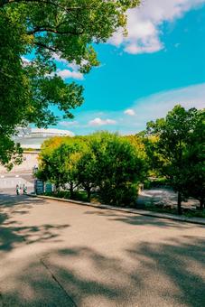 【大阪】大阪城公園の雰囲気 大阪城公園,大阪,公園の写真素材