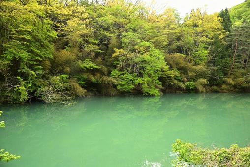 名もなき淵 淵,風景,自然の写真素材