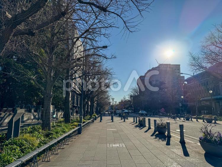 冬の横浜散歩　日本大通り 横浜,日本大通り,道案内の写真素材