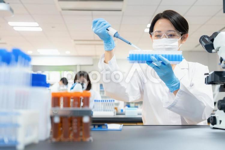 研究所で実験をする研究者 研究,実験,科学の写真素材