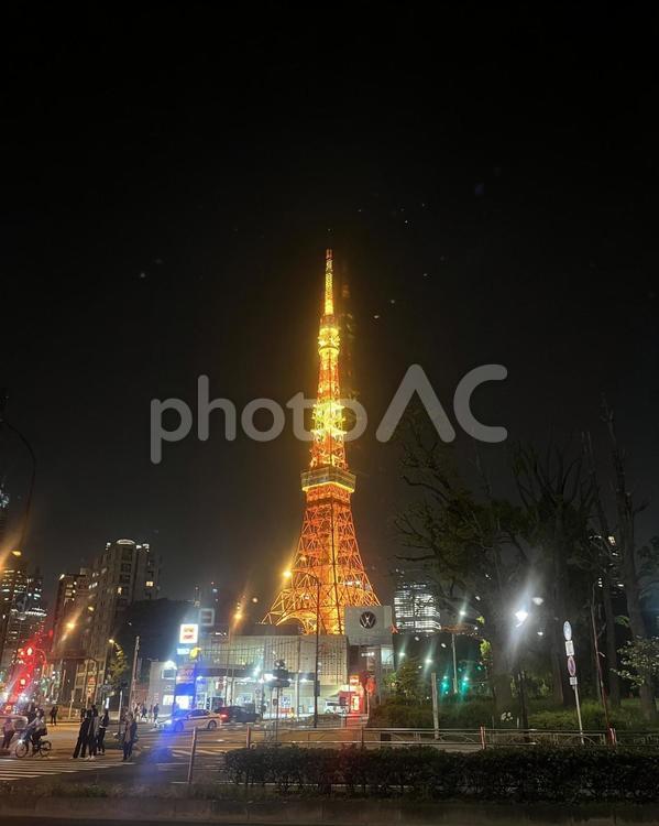 東京タワー　夜景 東京,東京タワー,夜景の写真素材