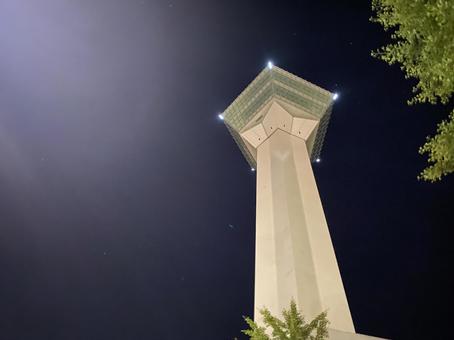 夜の五稜郭タワー 夜の五稜郭タワー 五稜郭,五稜郭タワー,函館の写真素材