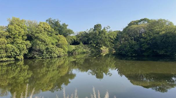 仁徳陵とお堀② 仁徳陵,お堀,自然の写真素材