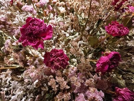 ドライフラワー（ピンク系） ドライフラワー,お花,乾燥したの写真素材