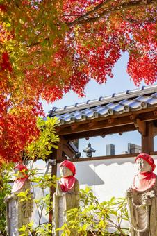 称名寺の紅葉⑸ 秋,紅葉,称名寺の写真素材
