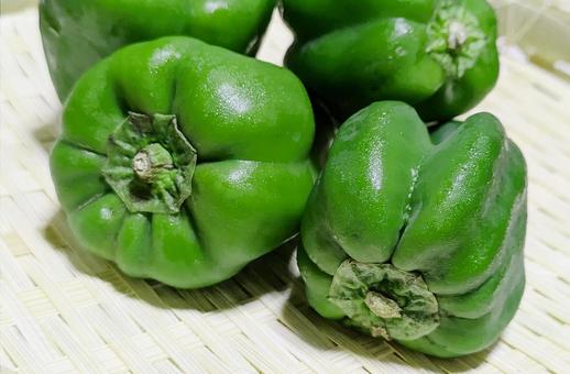 ピーマン-29 ピーマン-29 ピーマン,野菜,材料の写真素材