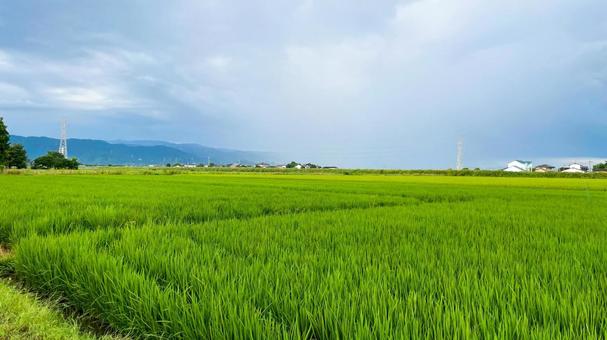 ひょうたん島公園の夏風景 ひょうたん島公園の夏風景 ひょうたん島公園,佐賀市,兵庫町の写真素材