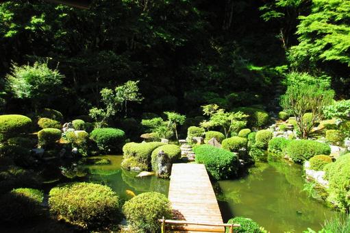 島根県-永明寺-禅庭 島根県-永明寺-禅庭 永明寺,寺,覚皇山の写真素材