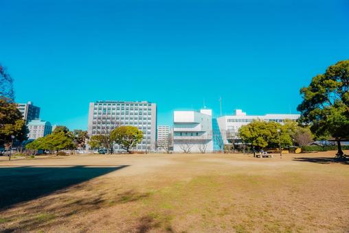 【熊本】白川公園 【熊本】白川公園 熊本,白川公園,公園の写真素材