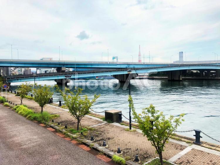 ハイウェイと海 ハイウェイ,高速道路,都市高の写真素材