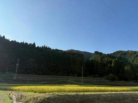 秋の田んぼ風景 秋の田んぼ風景 お米,田んぼ,田舎の写真素材