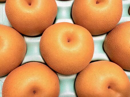 箱詰めされた梨 10 梨,なし,有りの実の写真素材