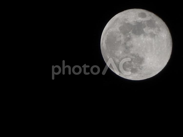 令和初の満月 満月,月,夜の月の写真素材
