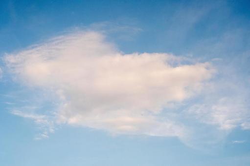 秋晴れの空、必死で泳ぐ亀さんでした 秋晴れの空、必死で泳ぐ亀さんでしたの写真