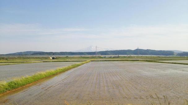 鳥海山　田植え前 鳥海山,春,残雪の写真素材