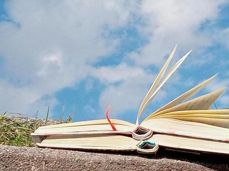 空と本 読書,本,資料の写真素材